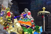 srirangam kuthirai vagana